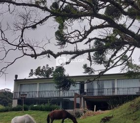 ✨ Chácara de Alto Padrão na Serra Catarinense | Alfredo Wagner/SC