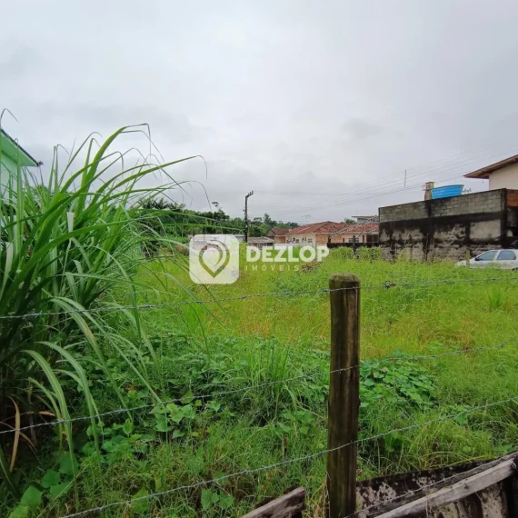 Terreno à venda em Fundos, Biguaçu - SC - 01