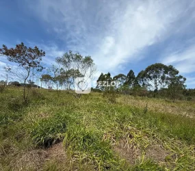 Terreno à venda em Nova Governador Celso Ramos, em Governador Celso Ramos - SC. - 02
