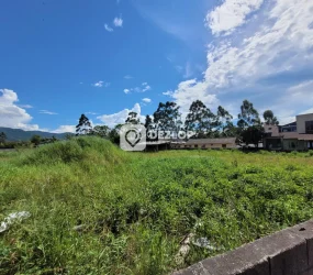 Terreno à venda na região do Saudade, em Biguaçu - SC. - 03